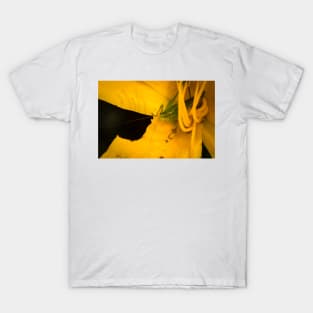 Garden Critter On Lily T-Shirt